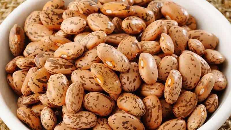 قیمت خرید لوبیا چیتی مشکات عمده به صرفه و ارزان